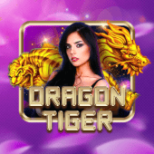 Dragon Tiger bet365 app download game